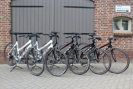 Zannata Z21 Dames Racefiets  Nieuw Shimano Claris  48cm en 53cm